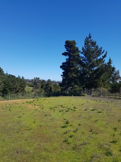 Vista Bosque